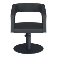Fauteuil coiffure Open #2