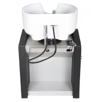 Lavacabezas Topwash Eco #4