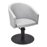 Fauteuil coiffure Coste's #2