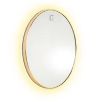 Code FF270MIRRORLED